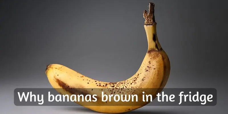 Why Do Bananas Turn Brown In The Fridge ? Are They Still Edible ? - Foodiosity