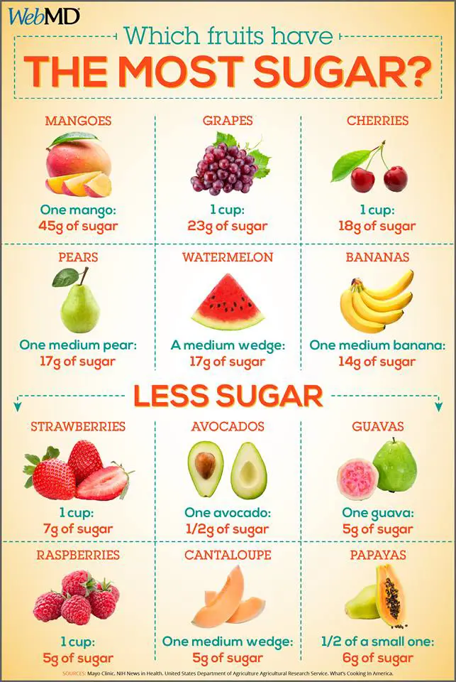 Which Fruits Have the Most Sugar? - Healthy Talbot