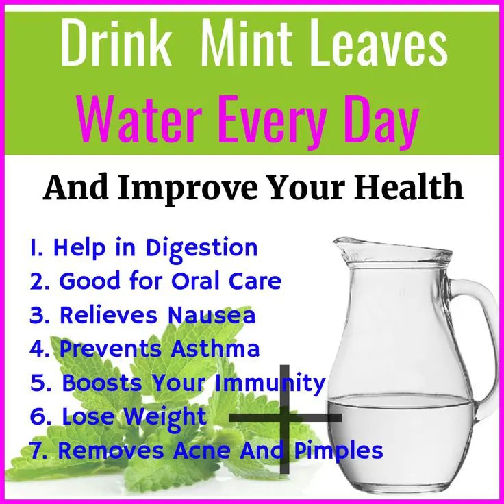 Drink mint leaves water every day | And get 7 surprising health benefits