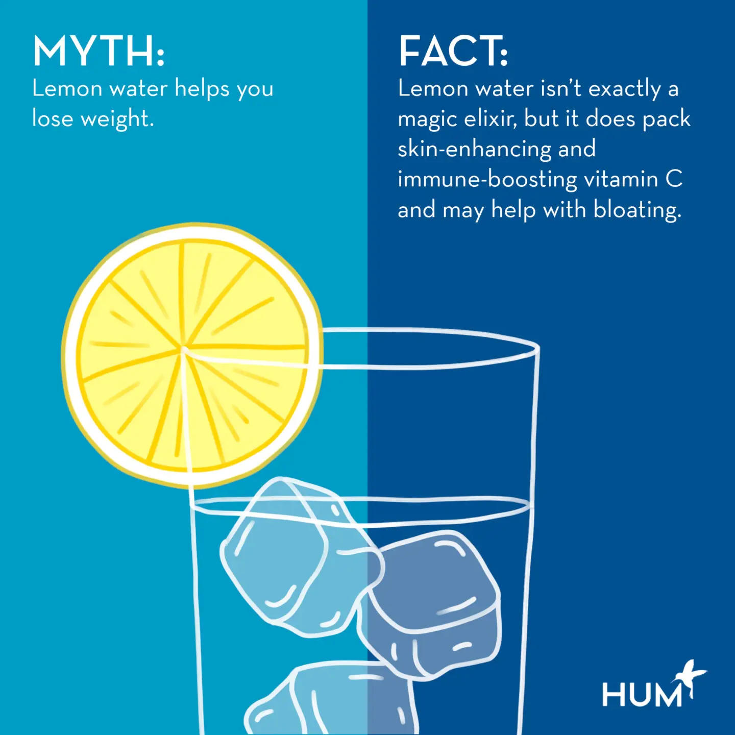 Does Lemon Water Help You Lose Weight? Experts Fact-Check Lemon Water Claims | HUM Nutrition Blog