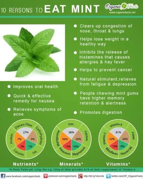 What are the nutritional values of mint leaves? - Quora