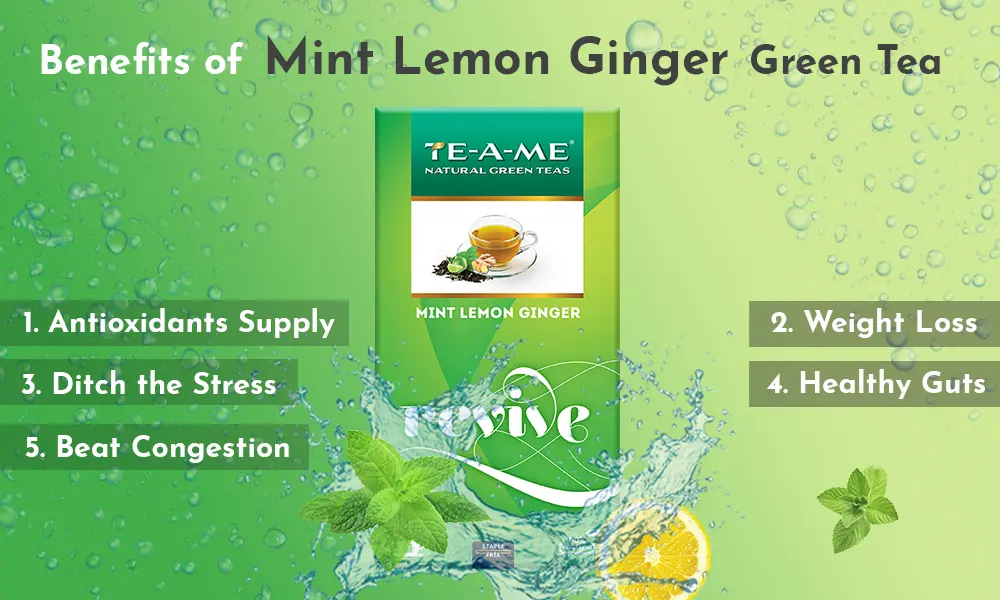 5 Green Tea with Mint Benefits | TE-A-ME