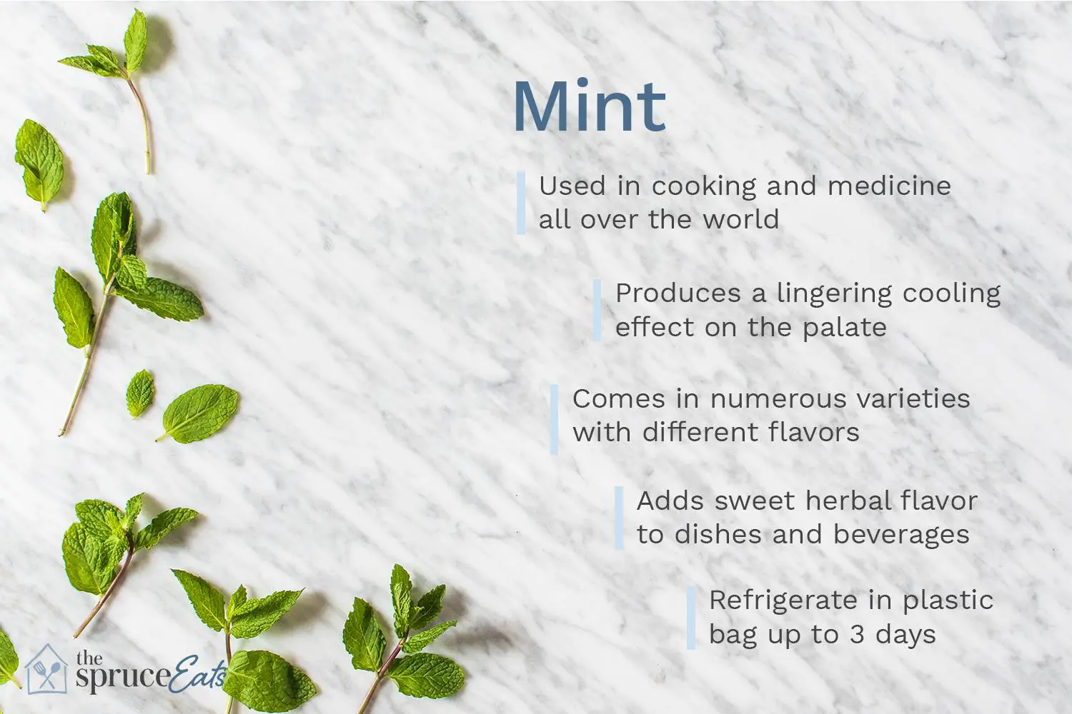 What Is Mint?