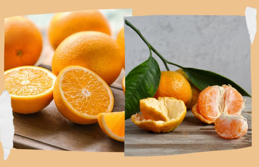 Orange vs Tangerine: Exploring the Difference in Taste - Farm To Palms