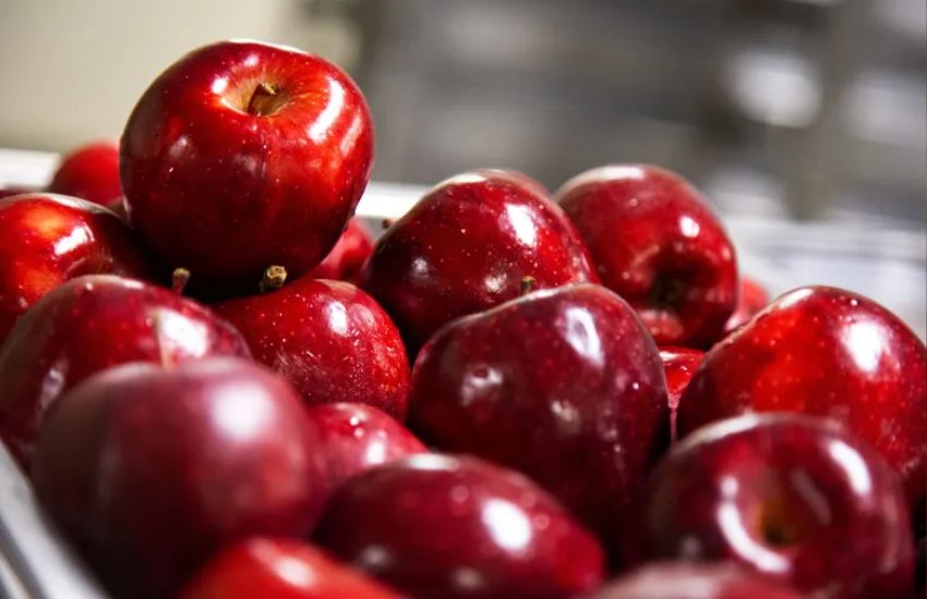 https://farmtopalms.com/wp-content/uploads/2023/08/Red-Delicious-apples.jpg