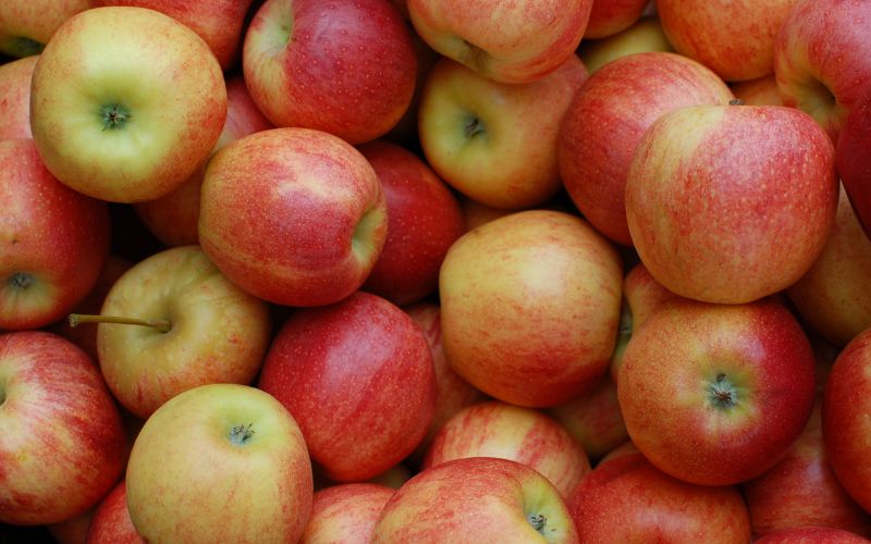 https://farmtopalms.com/wp-content/uploads/2023/10/Delicious-Facts-About-Kiku-Apples-Information-Taste-and-Nutritional-Values.jpg