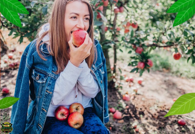 Are Honeycrisp Apples Good For You