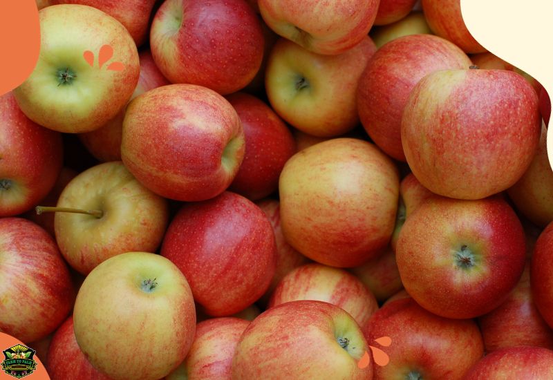 Braeburn Apple Nutrition Facts