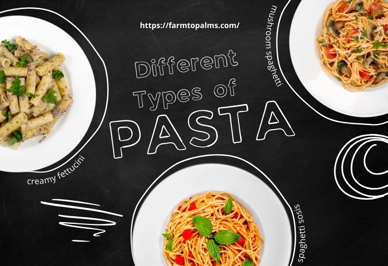 Guide To Different Types Of Pasta And Their Best Uses, Health Benefits Of Pasta
