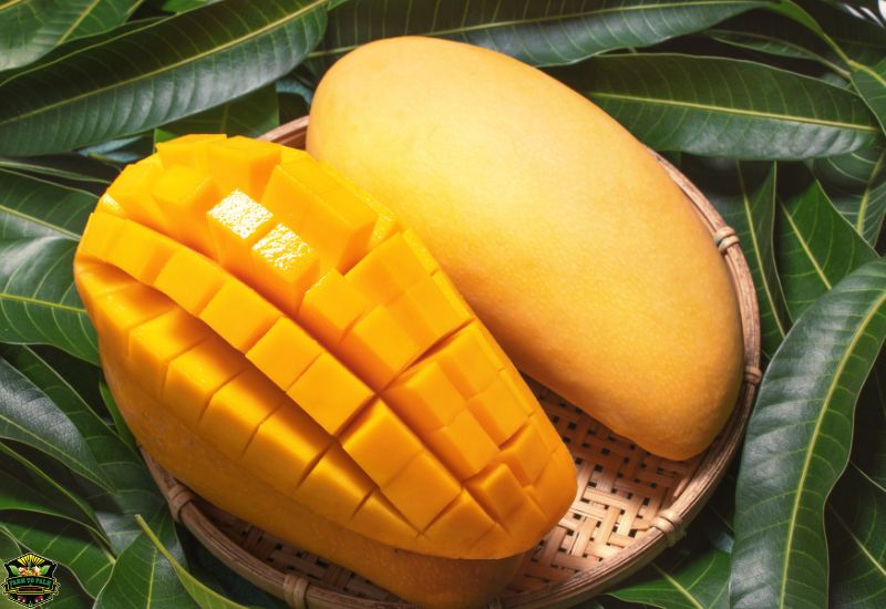 Haitian Mango