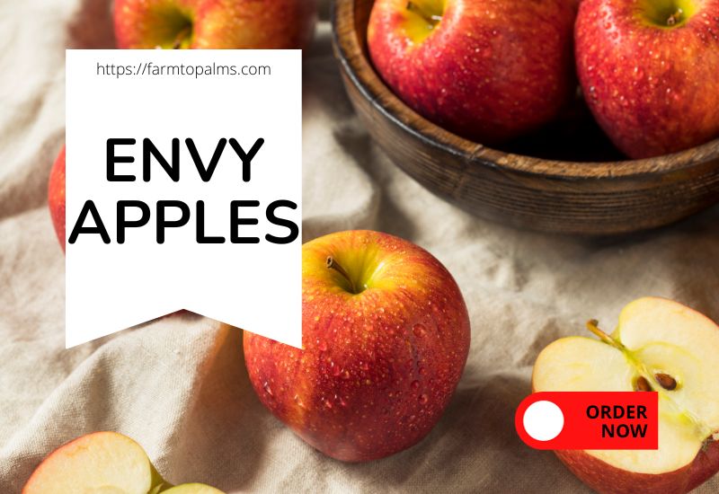 Interesting Things About Envy Apples From Origin To Enjoyment
