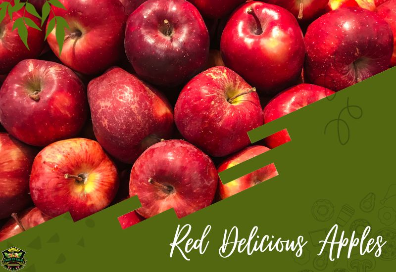 The Allure Of Red Delicious Apples A Journey Into Flavor, History, And Health