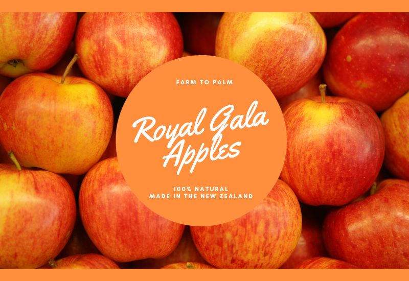The Royal Gala A Delectable Fusion Of Sweetness And Crunch