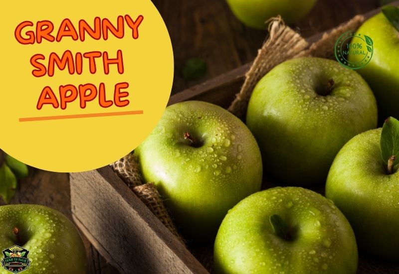 The Versatile And Healthy Granny Smith Apple