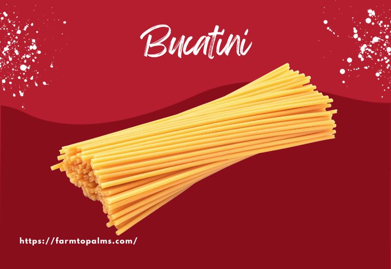 The Most Popular Types Of Pasta Bucatini