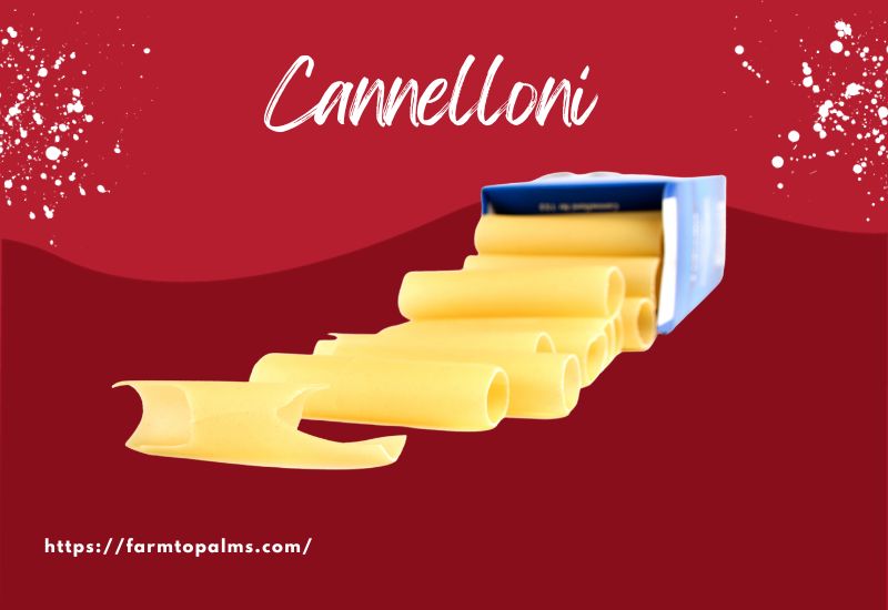 The Most Popular Types Of Pasta Cannelloni