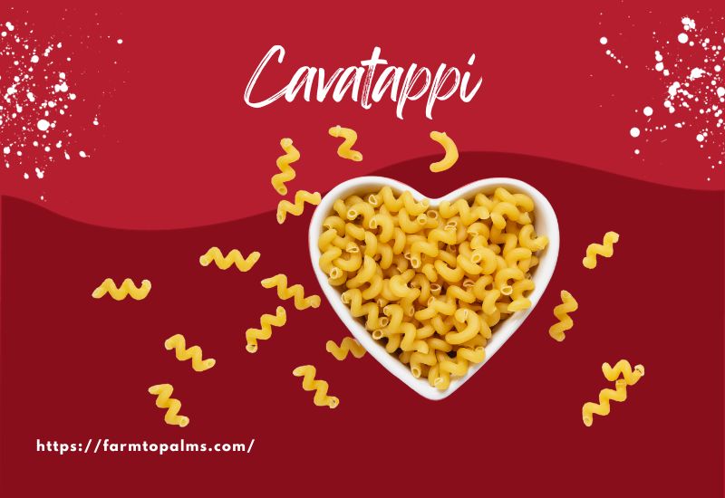The Most Popular Types Of Pasta Cavatappi