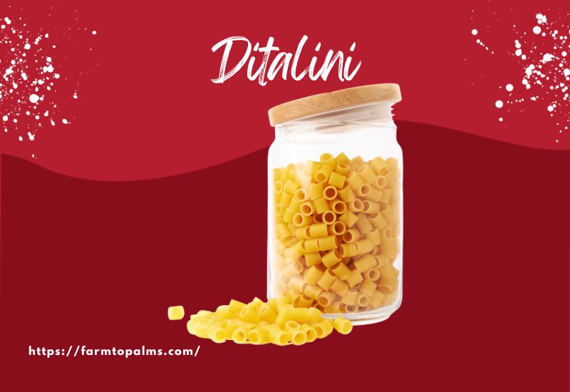 The Most Popular Types Of Pasta Ditalini