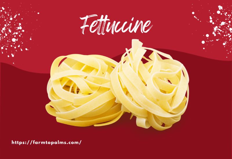 The Most Popular Types Of Pasta Fettuccine