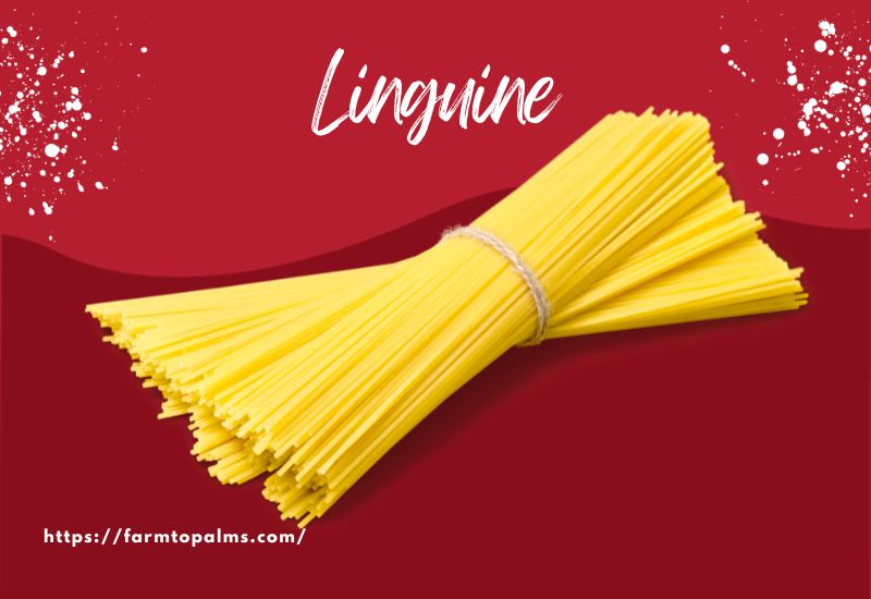 The Most Popular Types Of Pasta Linguine