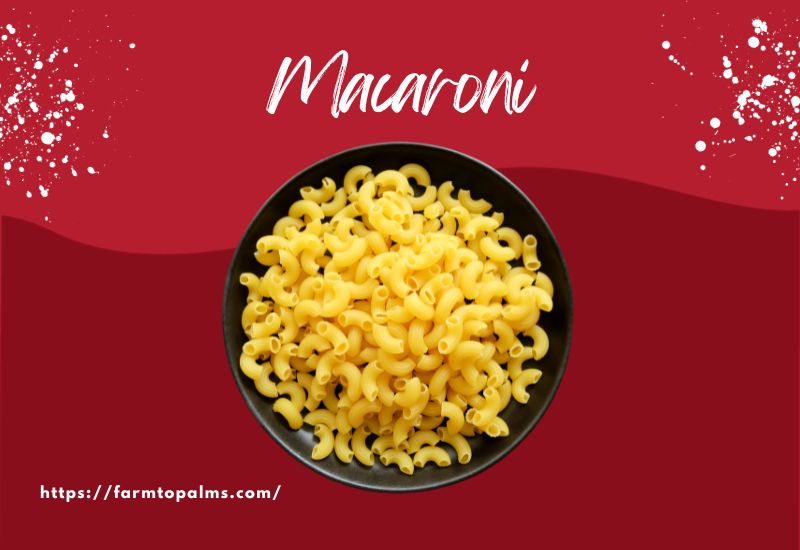 The Most Popular Types Of Pasta Macaroni