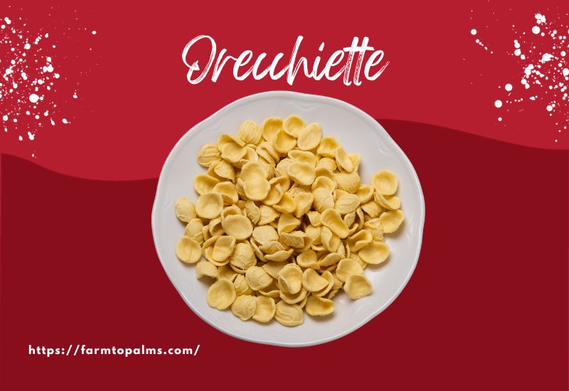 The Most Popular Types Of Pasta Orecchiette