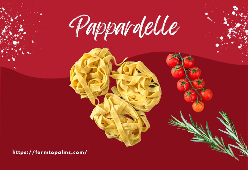 The Most Popular Types Of Pasta Pappardelle
