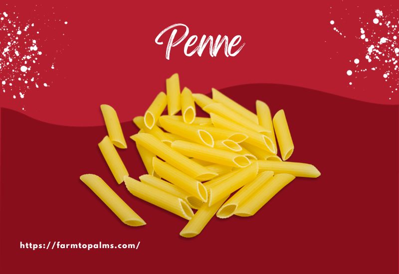 The Most Popular Types Of Pasta Penne