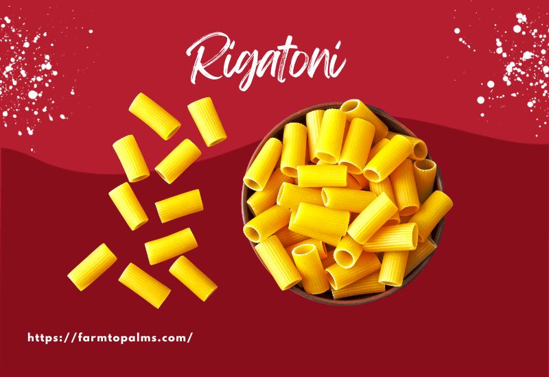 The Most Popular Types Of Pasta Rigatoni