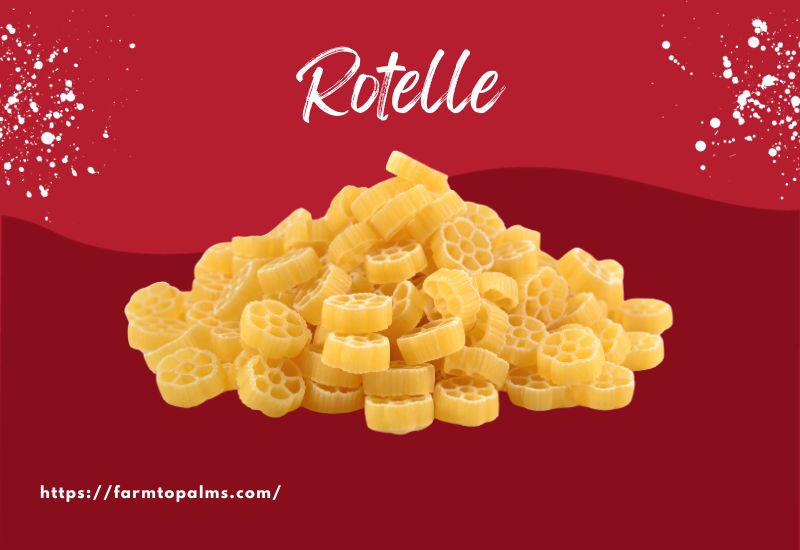The Most Popular Types Of Pasta Rotelle