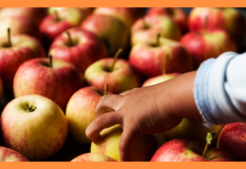 Tips For Choosing Fresh Royal Apples