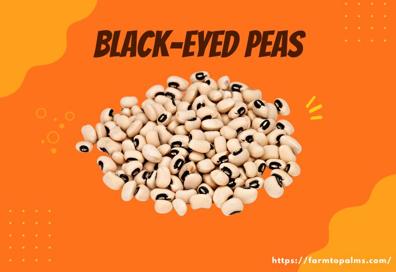 Types Of Beans Black Eyed Peas
