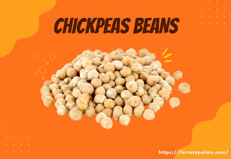 Types Of Beans Chickpeas