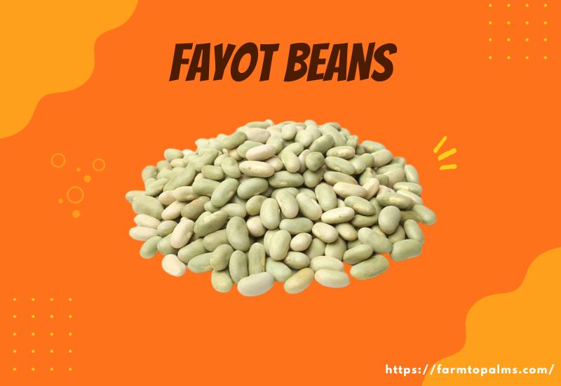 Types Of Beans Fayot