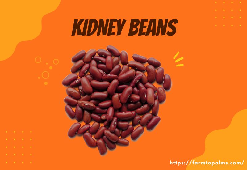 Types Of Beans Kidney Beans