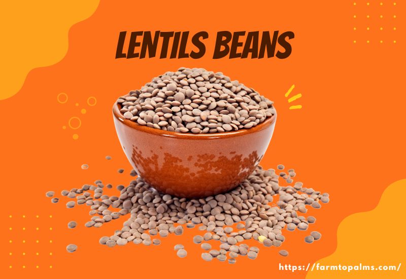 Types Of Beans Lentils