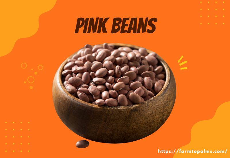Types Of Beans Pink Beans
