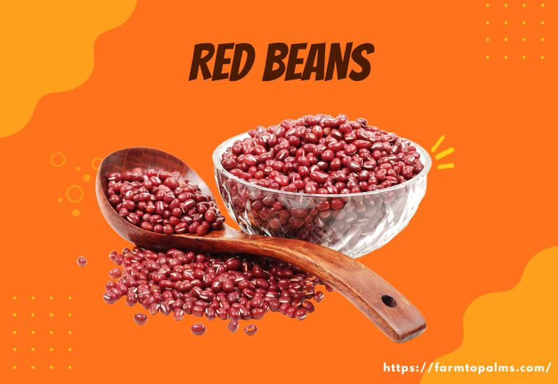 Types Of Beans Red Beans