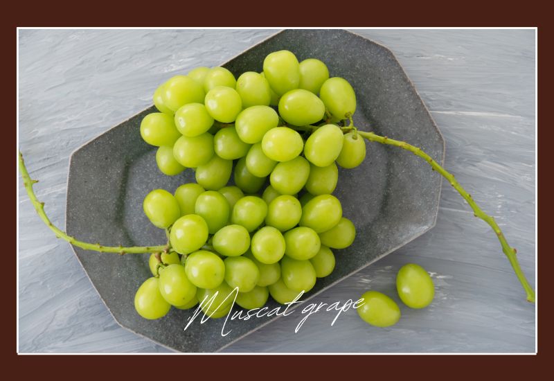 Types Of Grapes Muscat Grape
