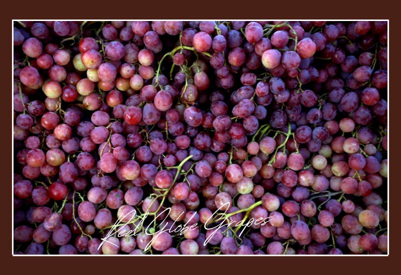 Types Of Grapes Red Globe Grapes