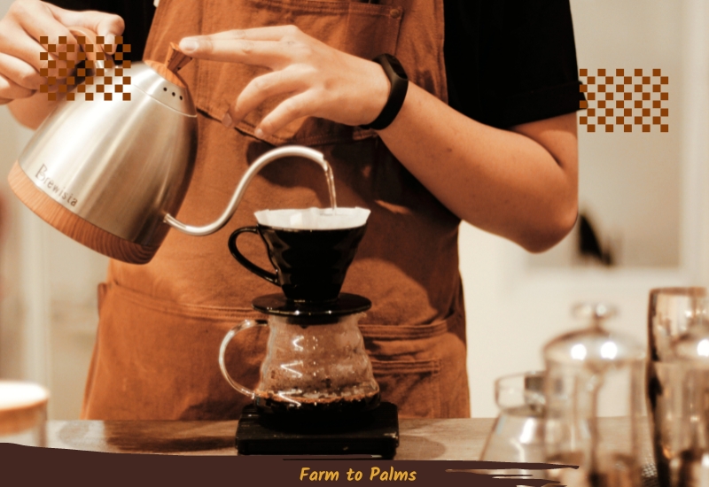Auto Drip Pour Over Make Drink Coffee