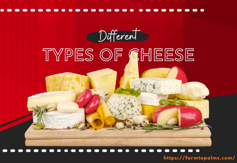 How Many Different Types Of Cheese