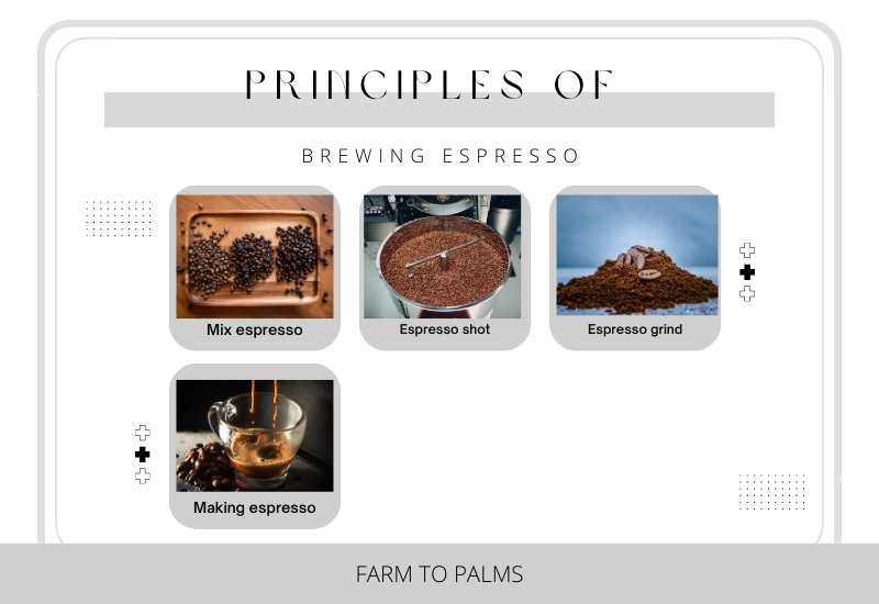Principles Of Brewing Espresso