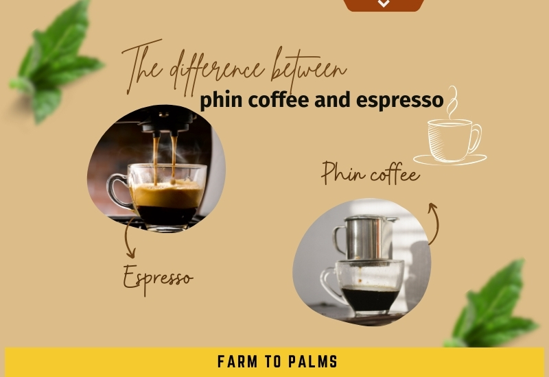 The Difference Between Phin Coffee And Espresso