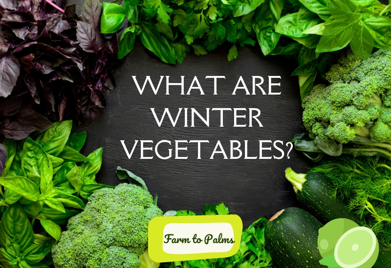 What Are Winter Vegetables