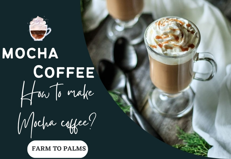 What Is Mocha Coffee Characteristics Of Mocha Coffee And How To Make Mocha Coffee