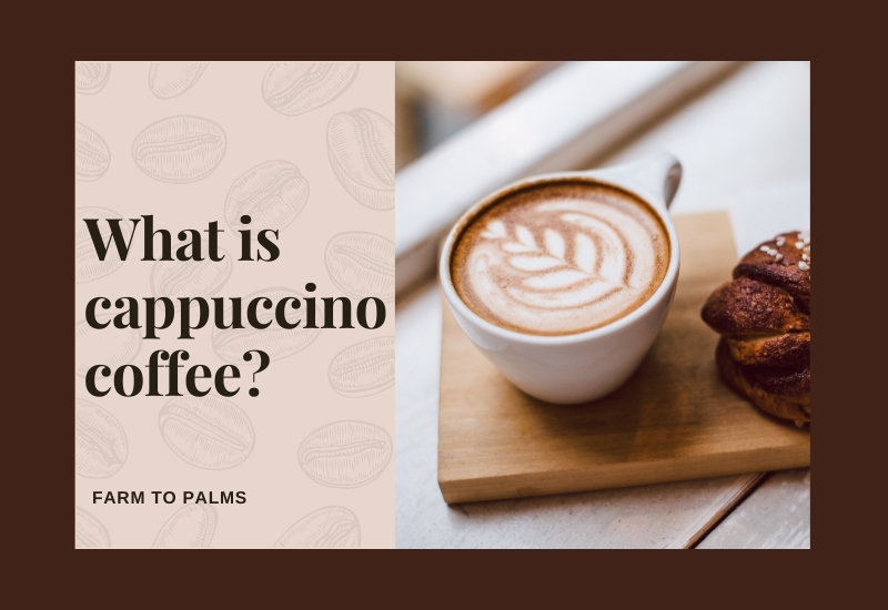 What Is Cappuccino Coffee How To Drink Cappuccino Coffee And The Types Of Cappuccino