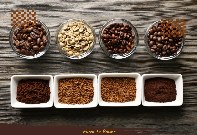 Which Type Of Coffee Bean Is The Best Nowadays