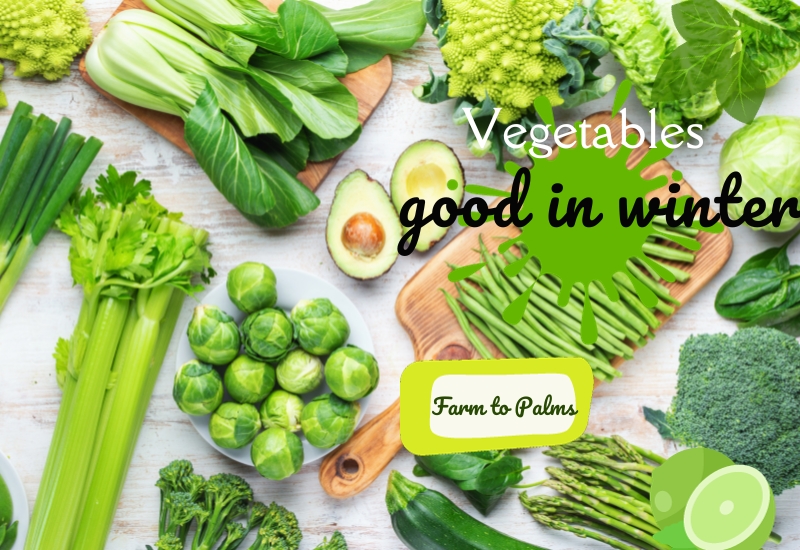 Which Vegetables Are Good In Winter