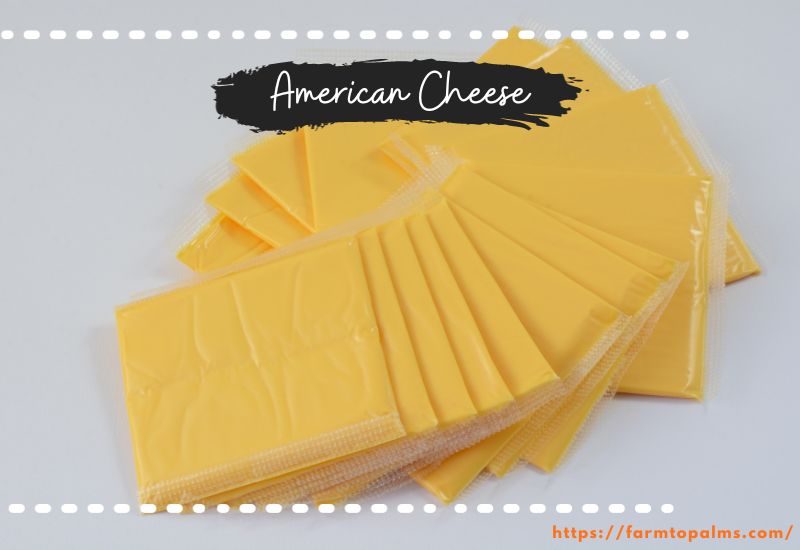 Different Types Of Cheese American Cheese